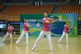 沈祥福、高洪波、杨晨等6人当选北京市足协副主席